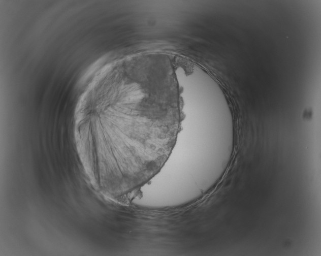 X0000115700339200912241527