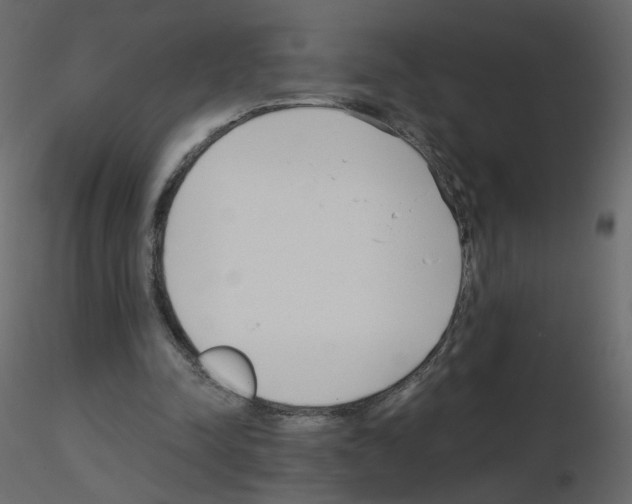 X0000115700342200912241527