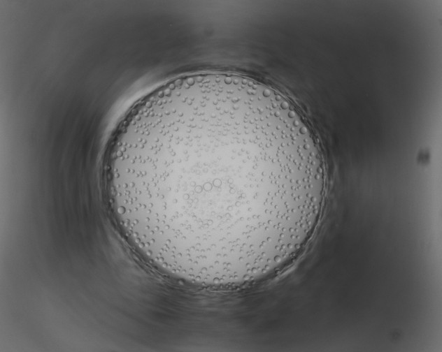 X0000115700343200912241527