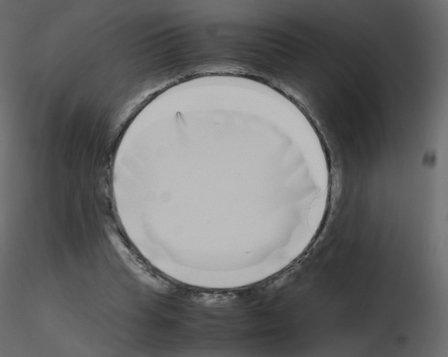 X0000115700345200912241527