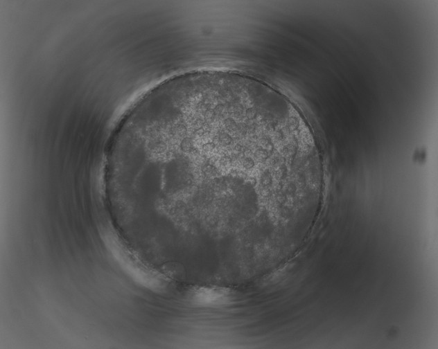 X0000115700346200912241527