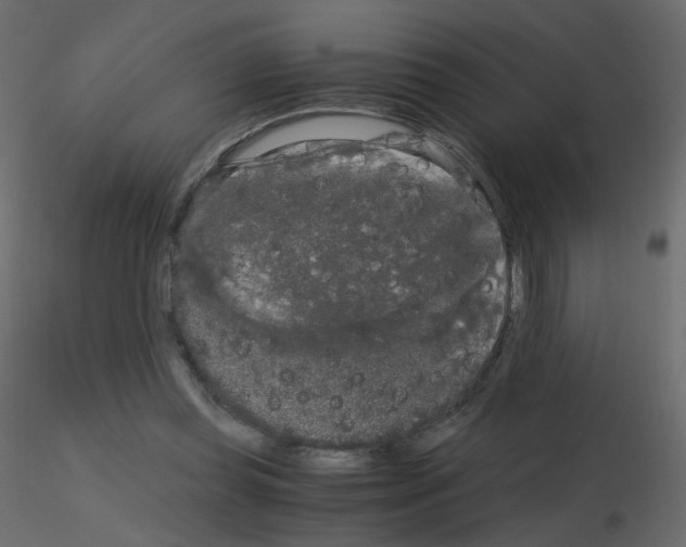 X0000115700349200912241527