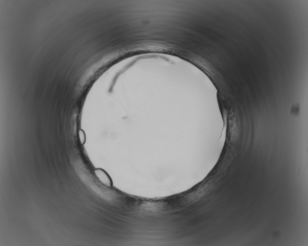 X0000115700350200912241527