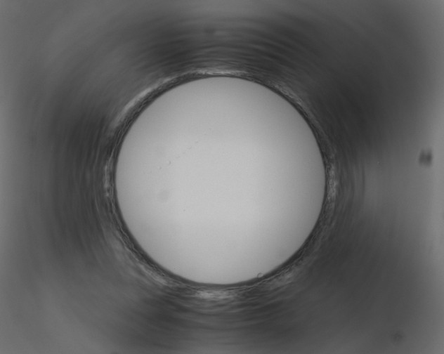 X0000115700351200912241527