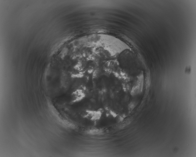 X0000115700353200912241527