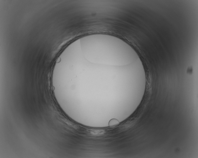 X0000115700355200912241527