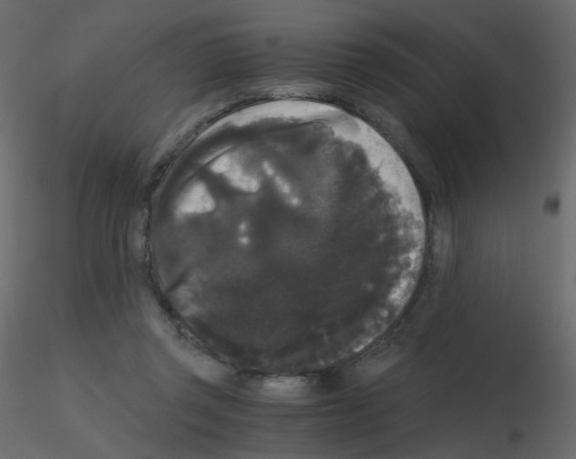 X0000115700357200912241527