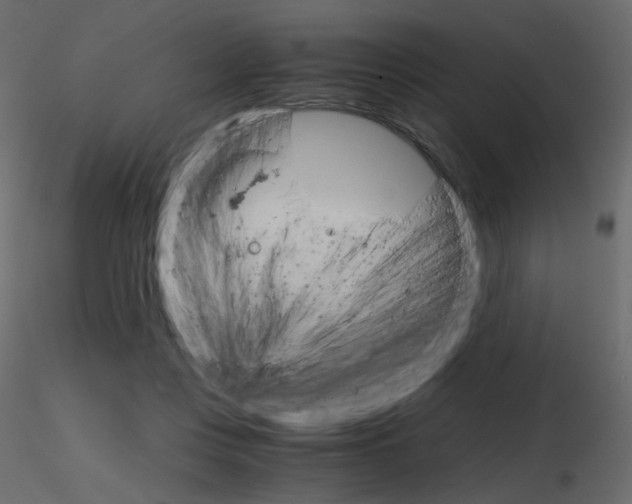 X0000115700359200912241527