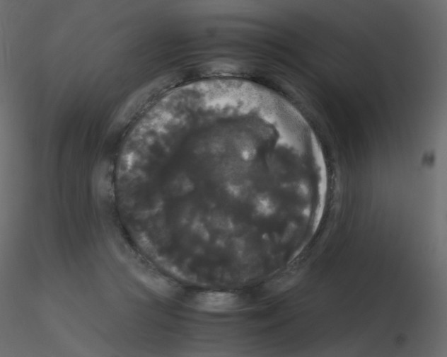 X0000115700361200912241528