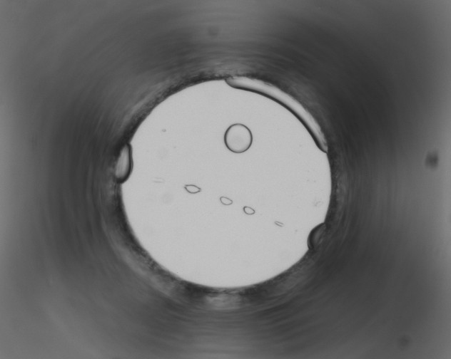 X0000115700362200912241528