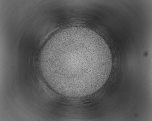 X0000115700363200912241528