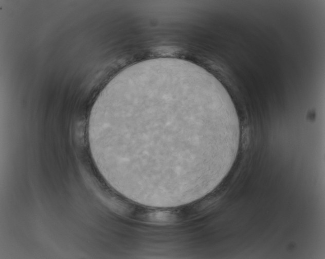 X0000115700365200912241528