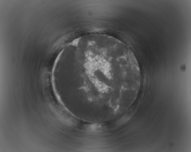 X0000115700366200912241528