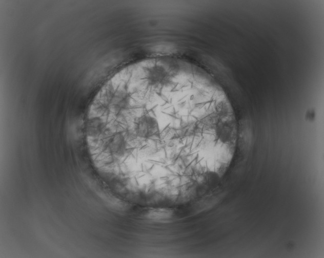 X0000115700369200912241528