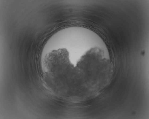 X0000115700371200912241528