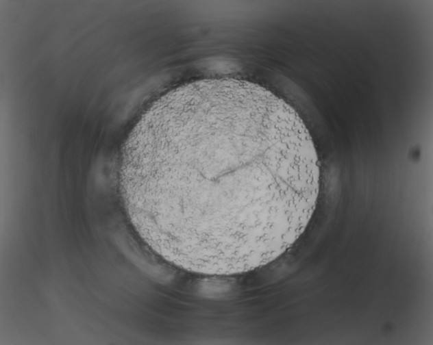 X0000115700373200912241528