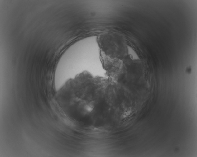 X0000115700374200912241528