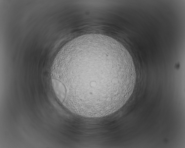 X0000115700375200912241528