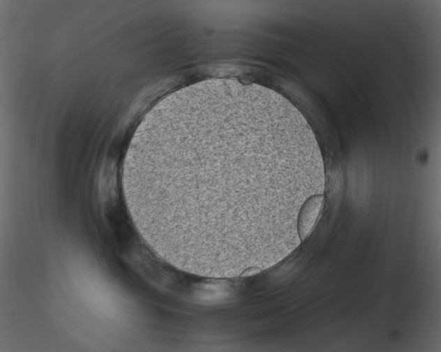 X0000115700381200912241528