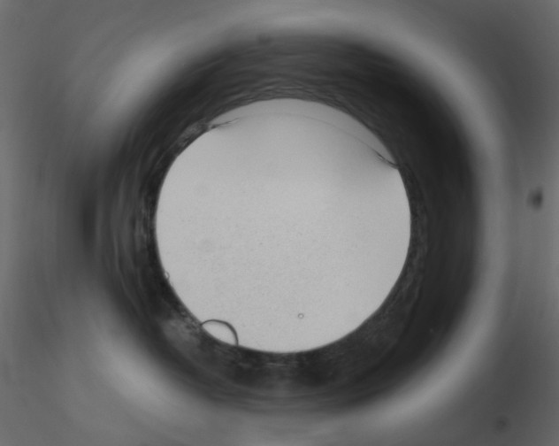 X0000115700382200912241528