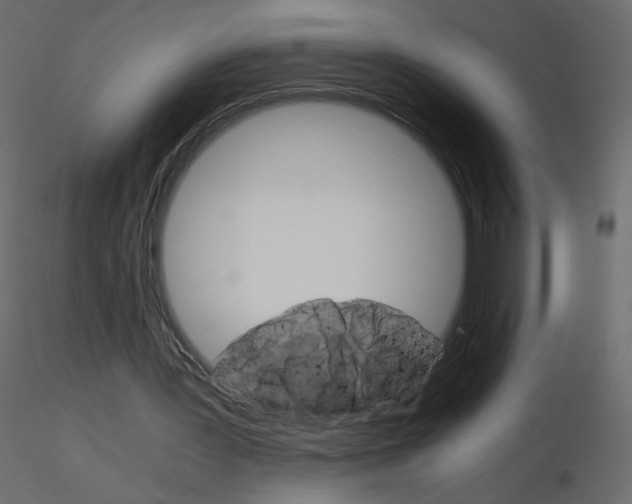 X0000115700387200912241527