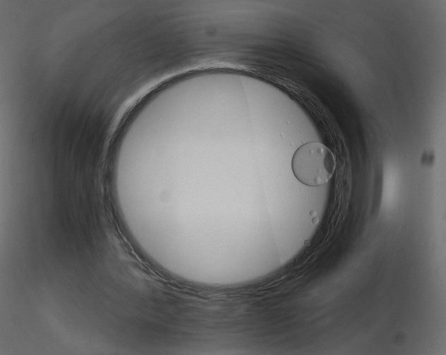 X0000115700388200912241527