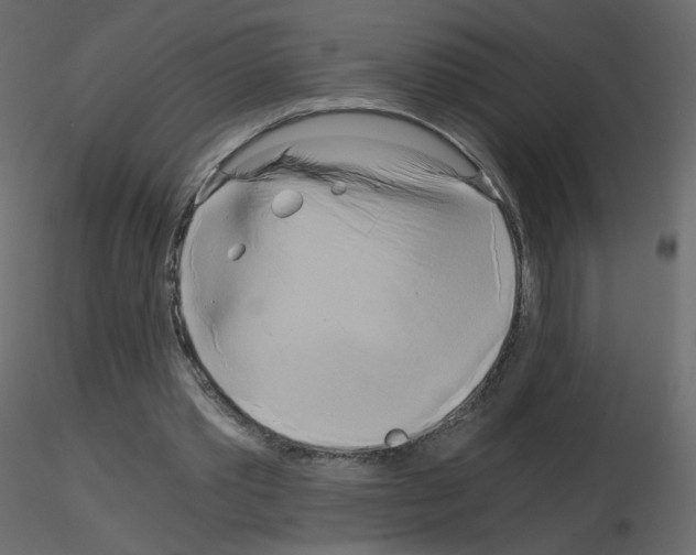 X0000115700389200912241527