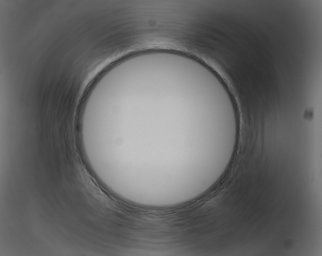 X0000115700391200912241527