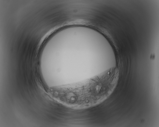 X0000115700392200912241527