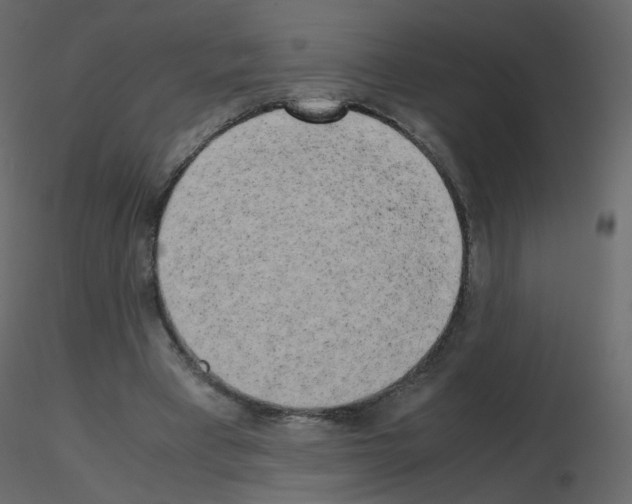 X0000115700393200912241527