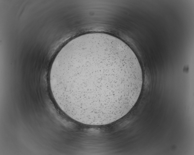 X0000115700394200912241527