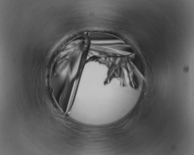 X0000115700395200912241527