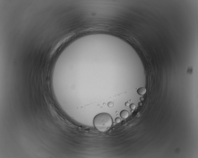 X0000115700396200912241527