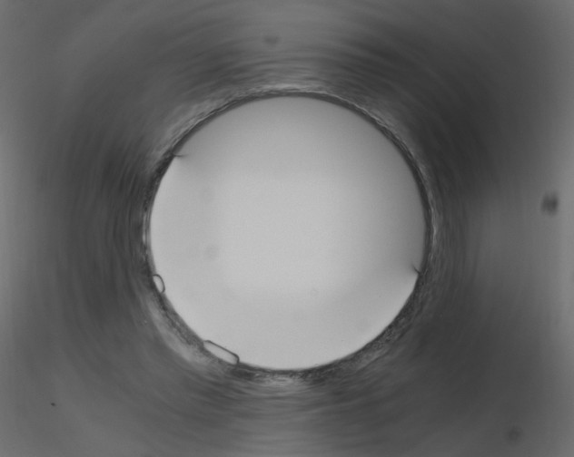 X0000115700397200912241527