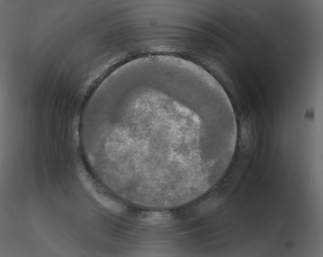 X0000115700398200912241527