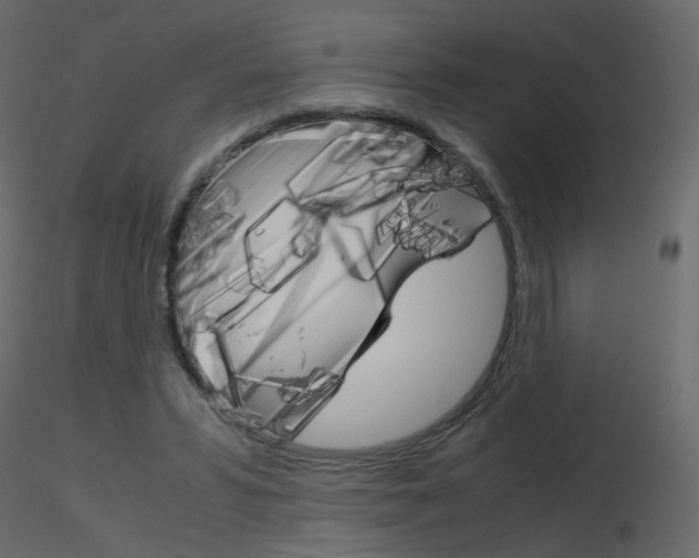 X0000115700399200912241527