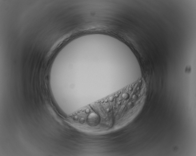 X0000115700400200912241527