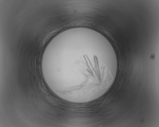 X0000115700403200912241527