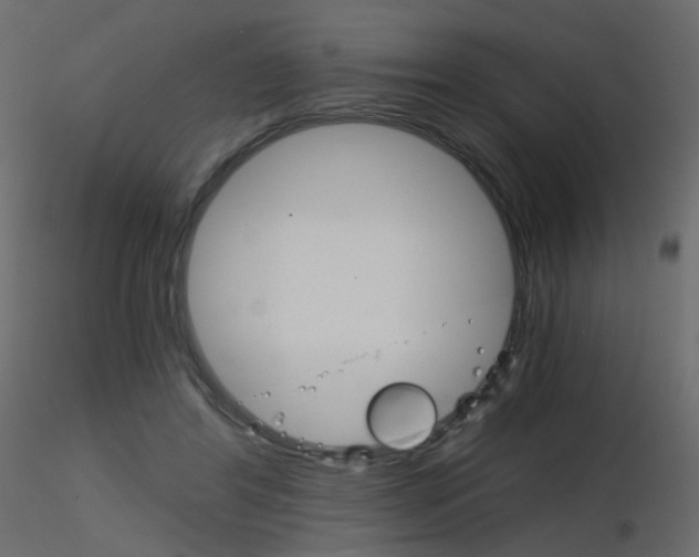 X0000115700404200912241527