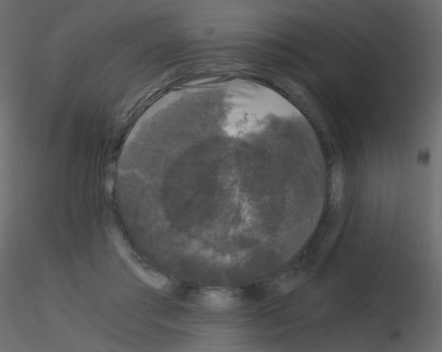 X0000115700405200912241527