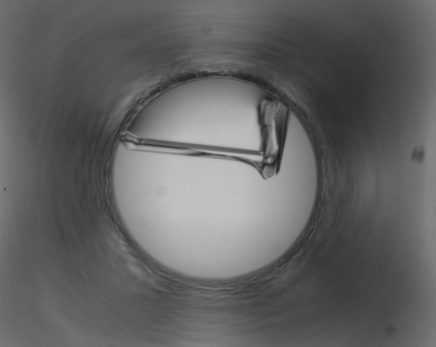 X0000115700407200912241527