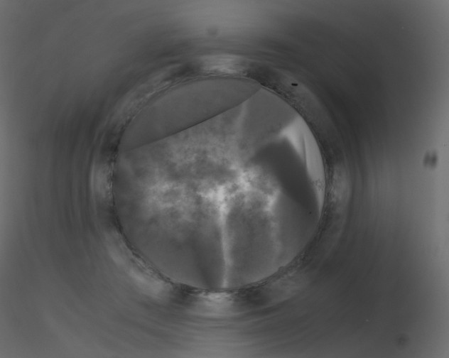 X0000115700409200912241527