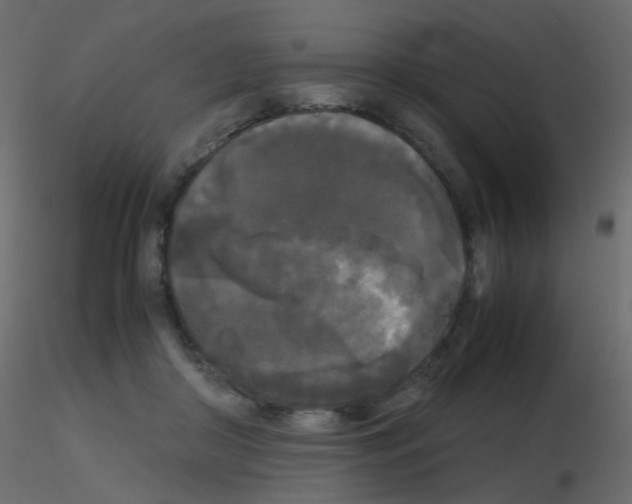 X0000115700410200912241527