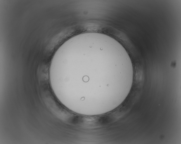 X0000115700411200912241527