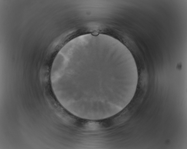 X0000115700413200912241527