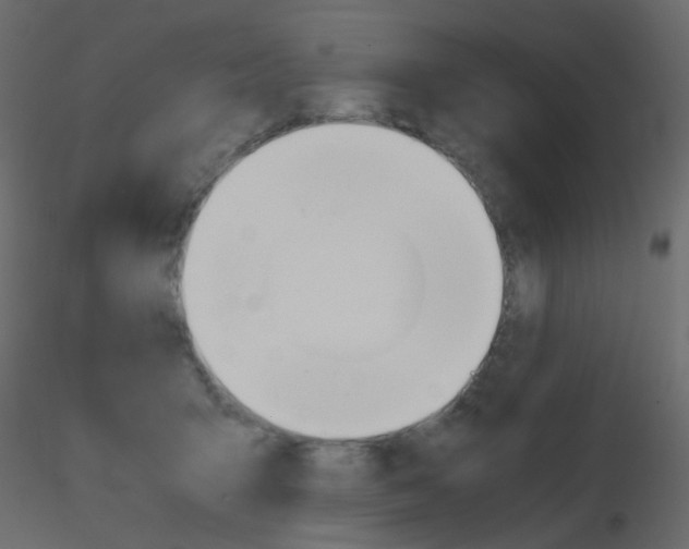 X0000115700415200912241527