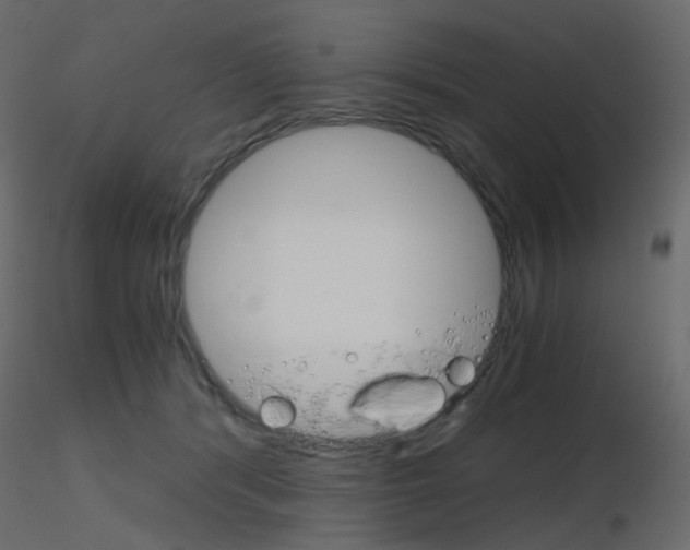 X0000115700416200912241527