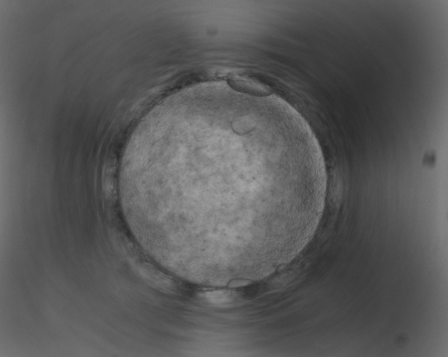 X0000115700417200912241527