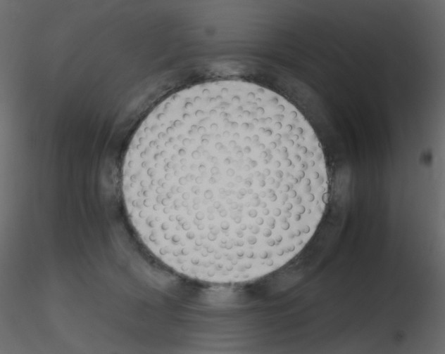 X0000115700418200912241527