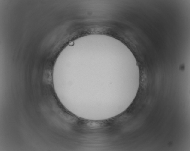 X0000115700419200912241527